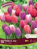 Florissa Colourful Companions Pride and Joy Tulip Blend 15/pkg