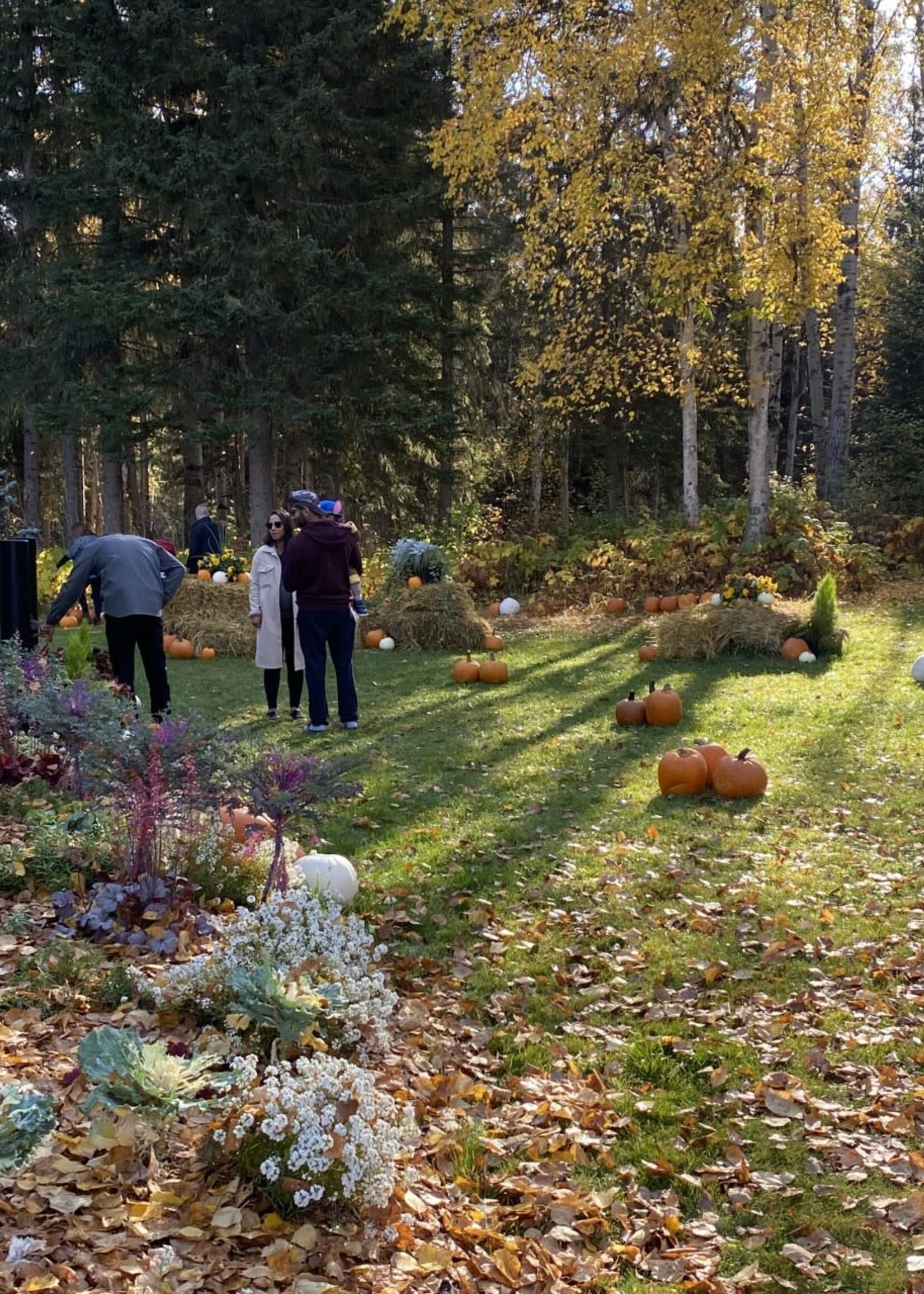 Friday, Oct 4 Pumpkin Patch with Face Painting