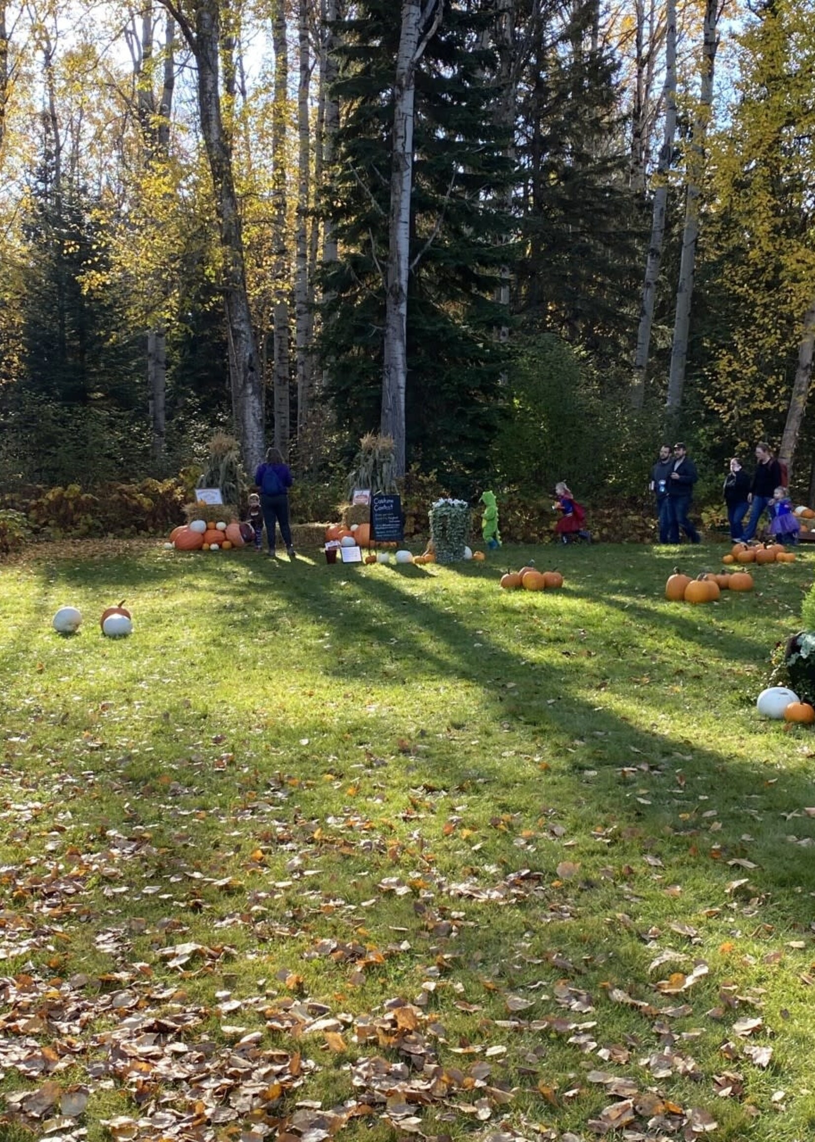 Sunday, Oct 15 Pumpkin Patch with Balloon Artist