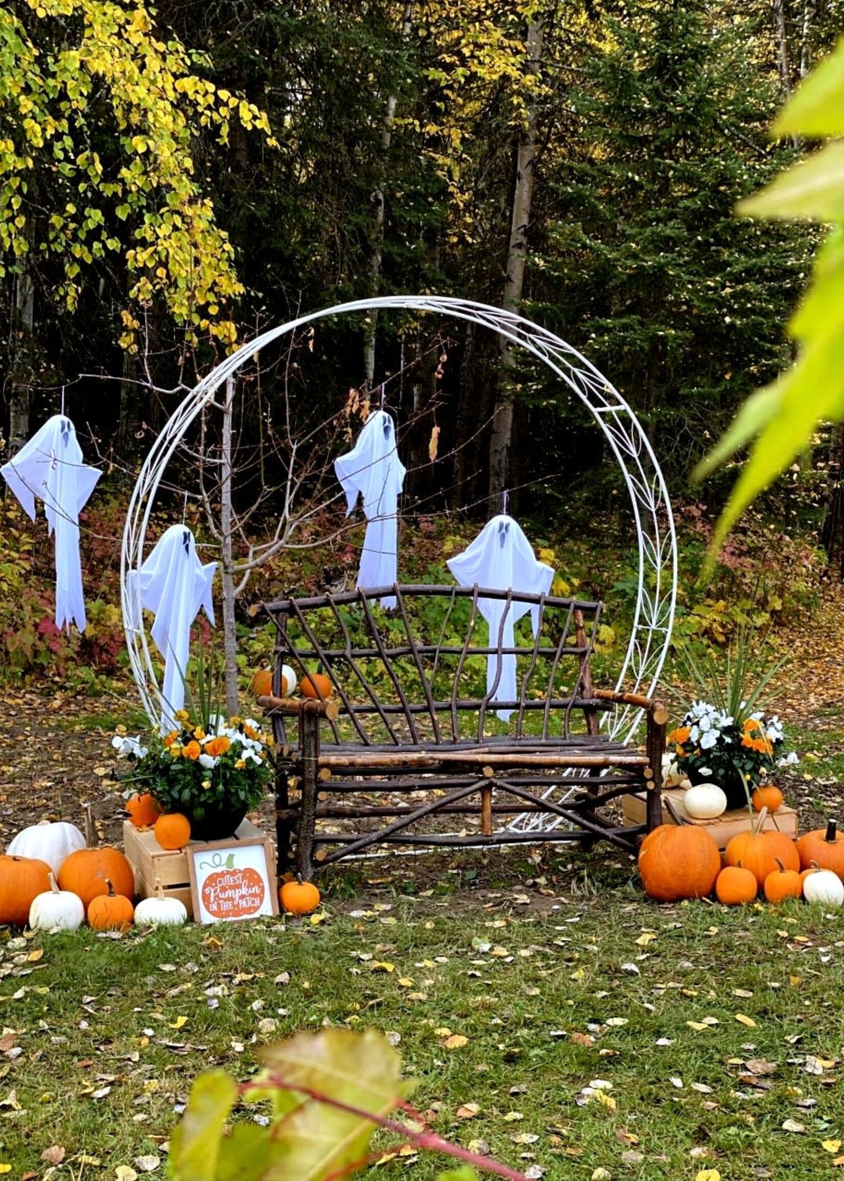 Sunday, Oct 15 Pumpkin Patch with Balloon Artist