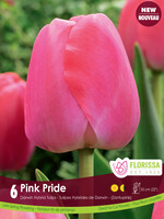 Florissa Pink Pride Tulip 6/pkg