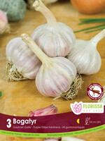 Florissa Bogatyr Garlic 3/pkg