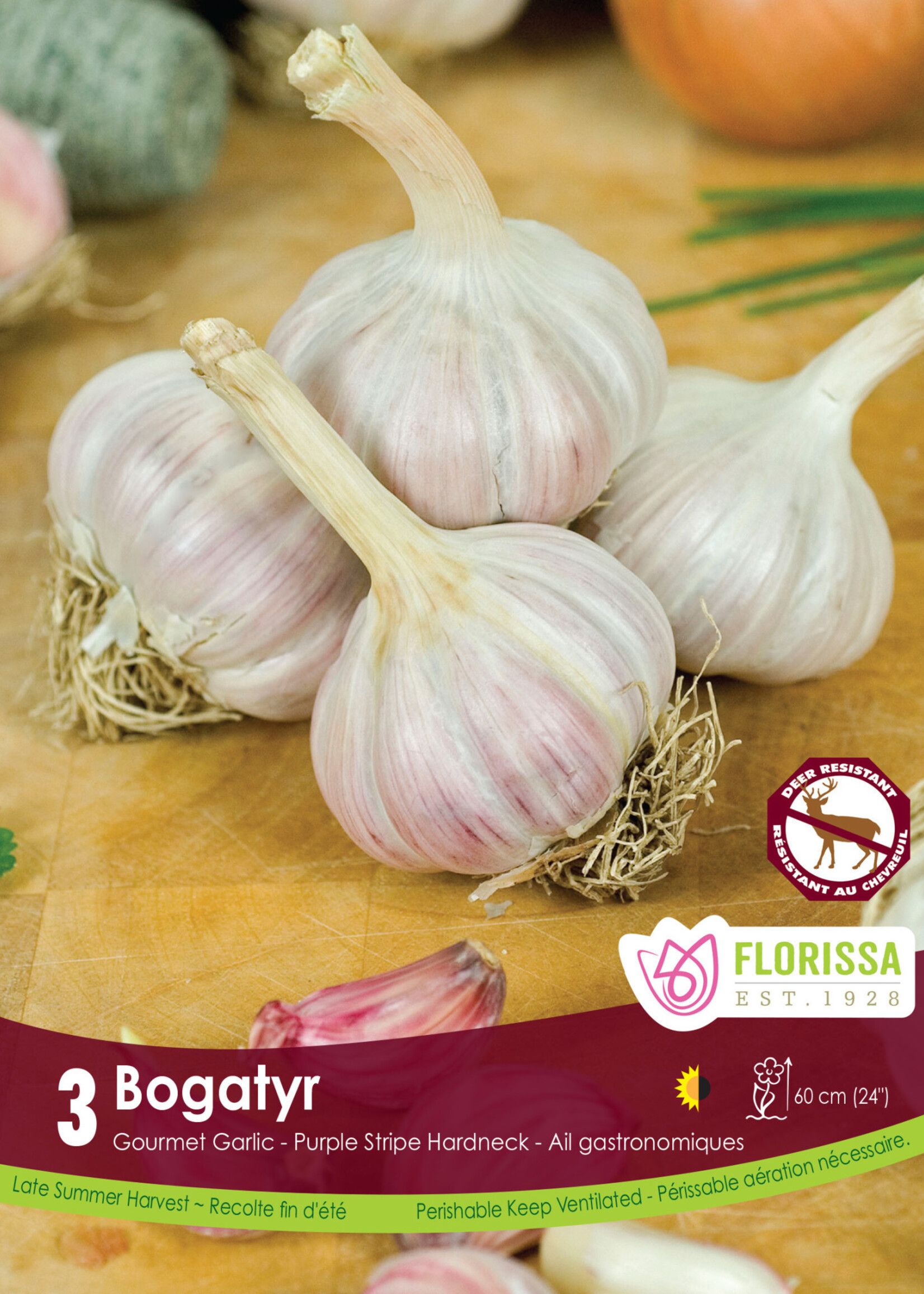 Florissa Bogatyr Garlic 3/pkg