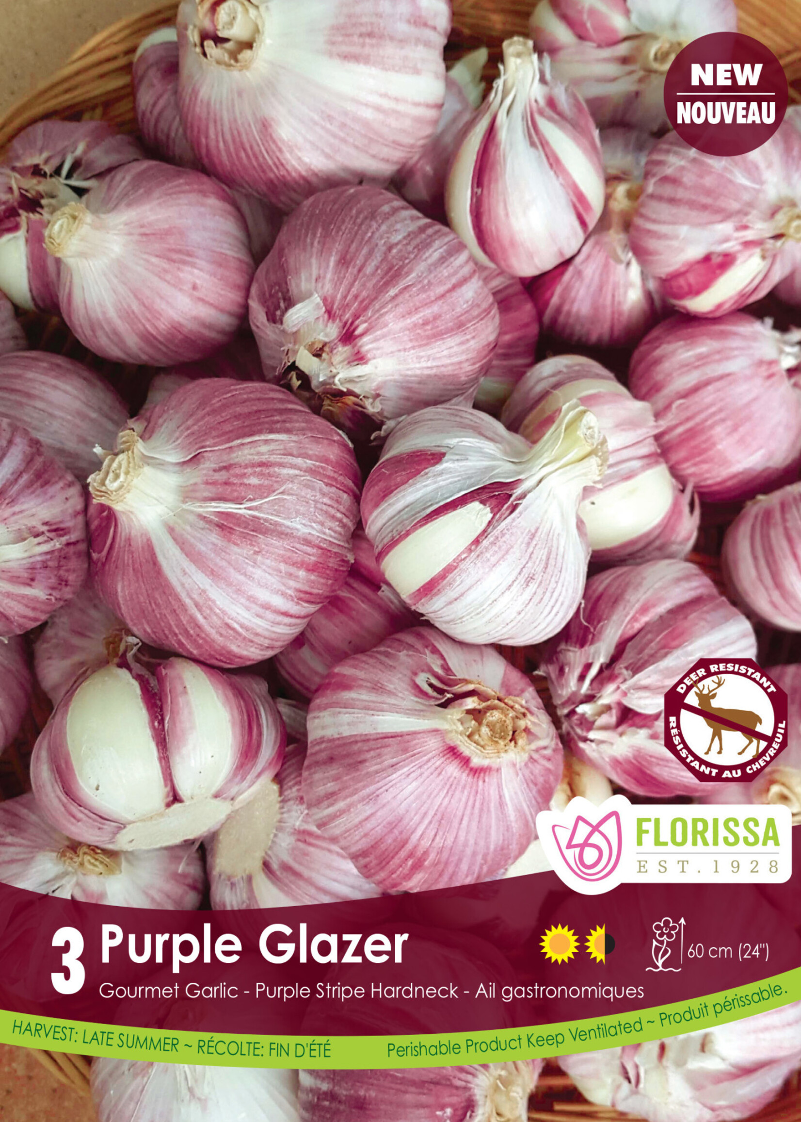 Florissa Purple Glazer Garlic 3/pkg