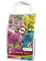 Florissa Deer Resistant Allium Bulb Blend 50/pkg