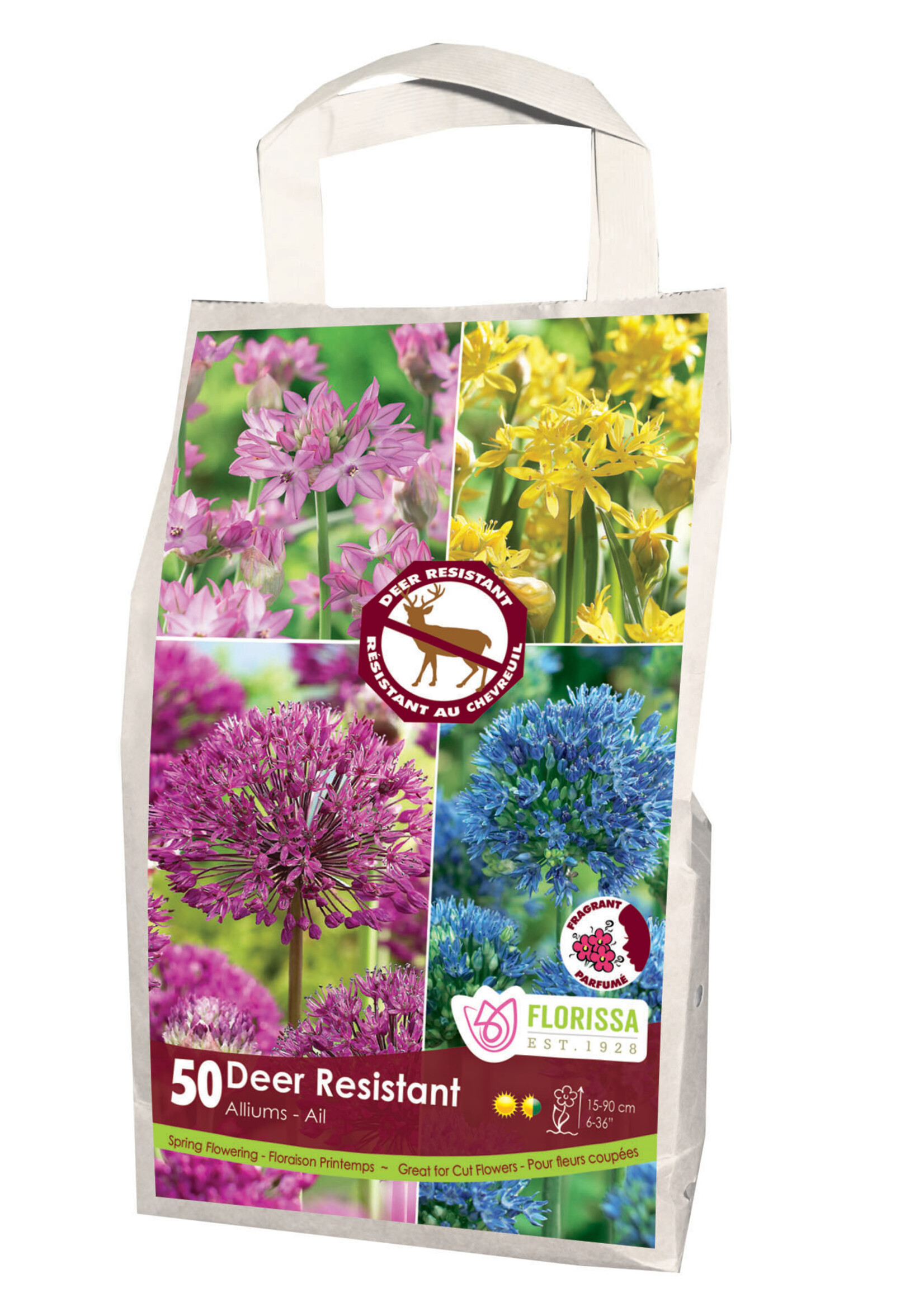 Florissa Deer Resistant Allium Bulb Blend 50/pkg