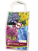 Florissa Deer Resistant Yellow/Blue Mixed Bulb Blend 50/pkg