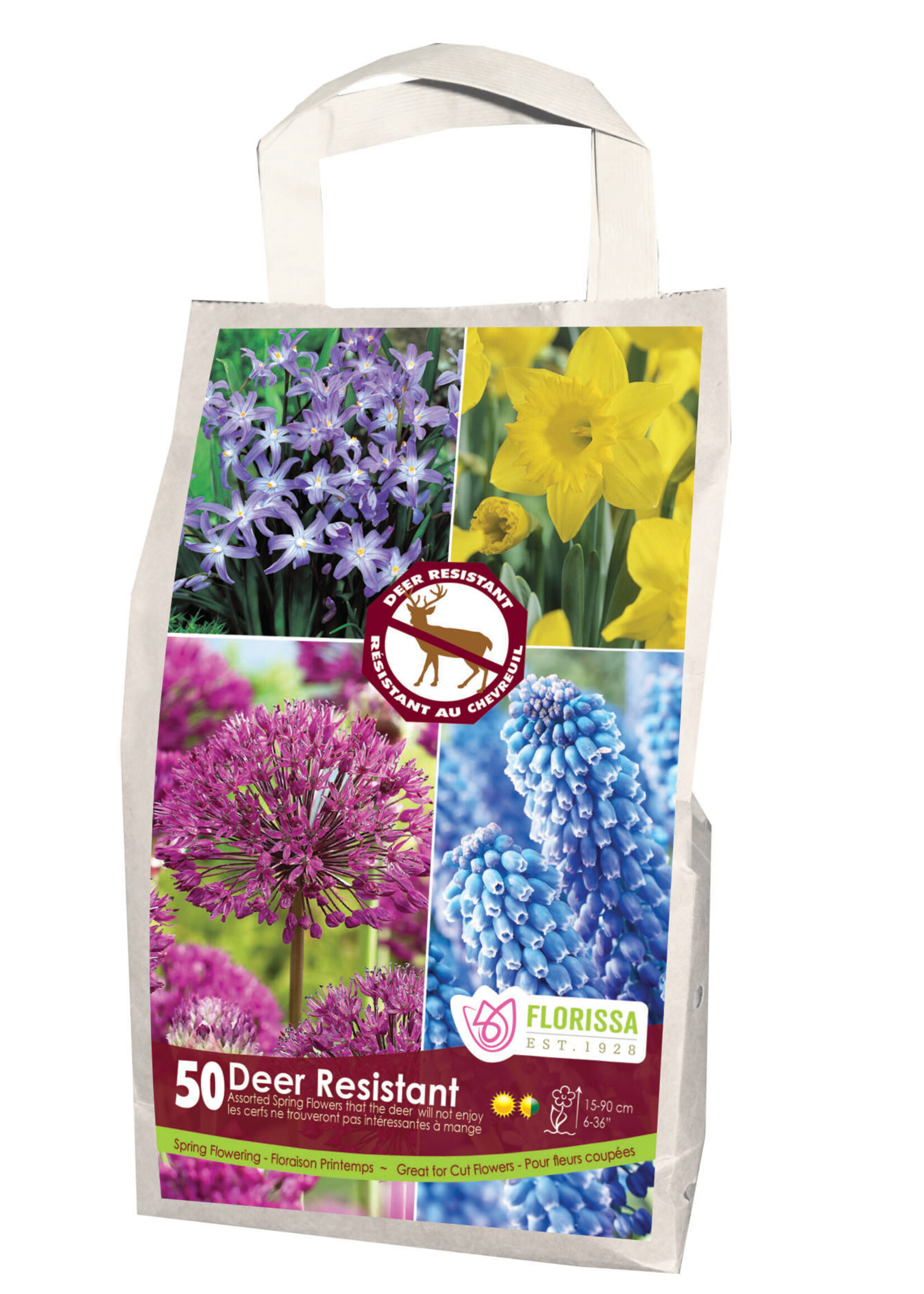 Florissa Deer Resistant Yellow/Blue Mixed Bulb Blend 50/pkg