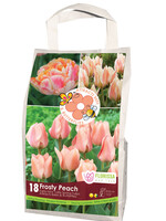 Florissa Feed the Bees & Butterflies Frosty Peach Tulip Blend 18/pkg