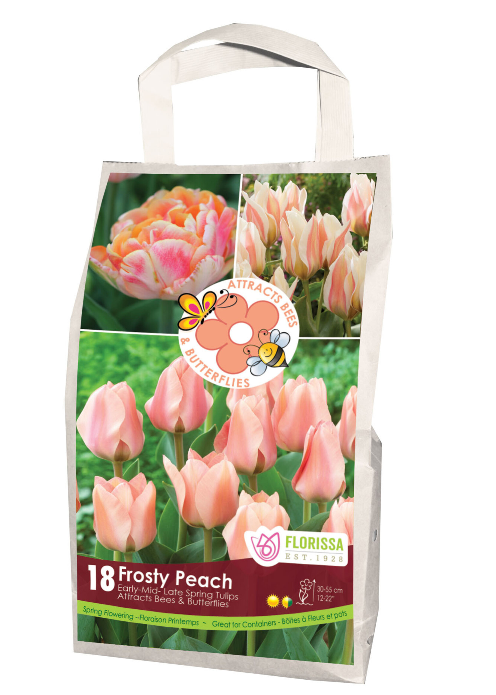 Florissa Feed the Bees & Butterflies Frosty Peach Tulip Blend 18/pkg