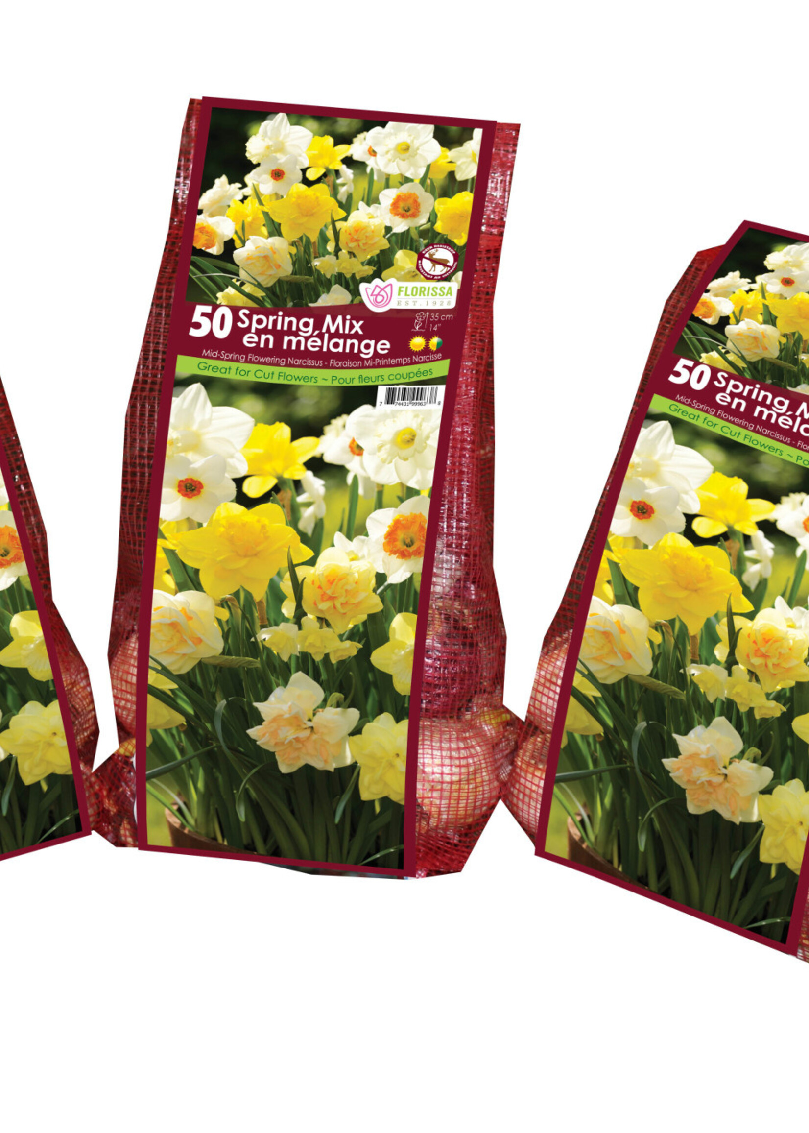 Florissa Spring Mix Daffodil (Narcissi) 50/pkg