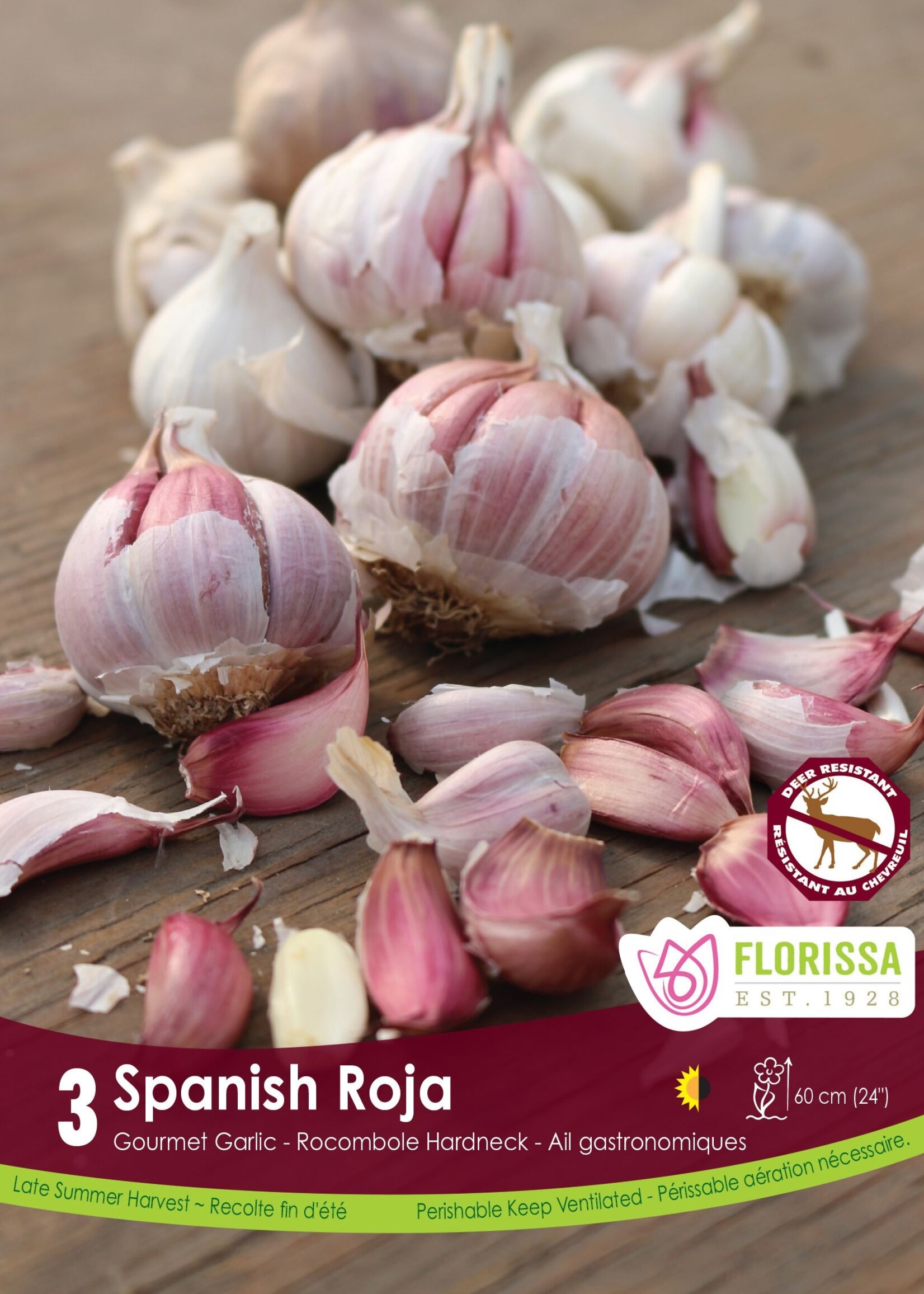Florissa Spanish Roja Garlic 3/pkg