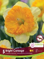 Florissa Bright Corsage Daffodil (Narcissi) 5/pkg