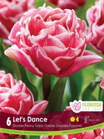 Florissa Let's Dance Tulip 6/pkg