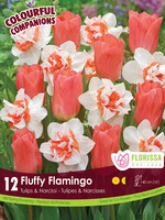 Florissa Colourful Companions Fluffy Flamingo Daffodil and Tulip Blend 12/pkg