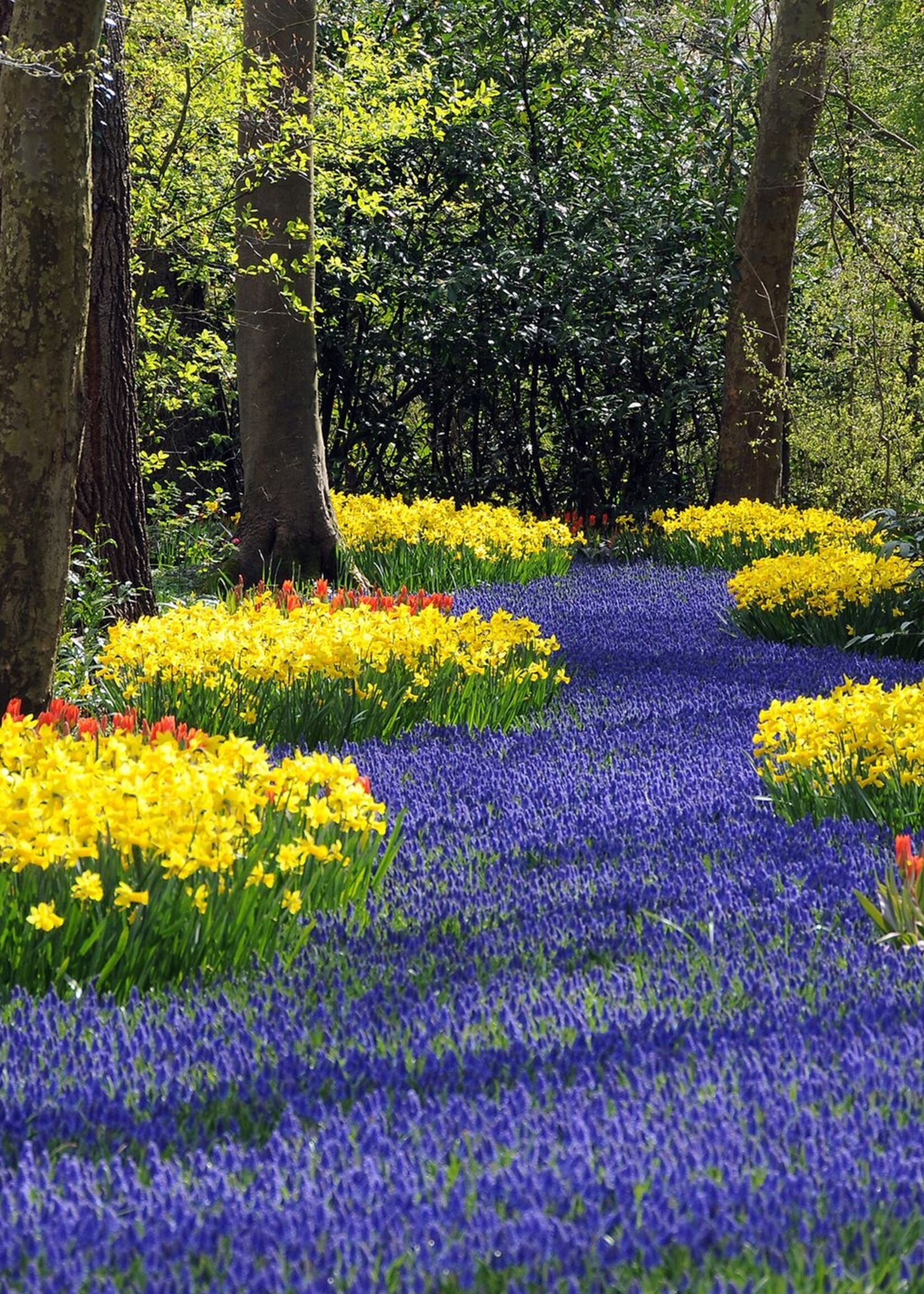 2026 Fall Bulb Planting Workshop  Saturday, Sept 19 @ 10-11 am