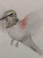 Watercolor Paint Night - Friday, April 17 @ 5:30-7:30 pm