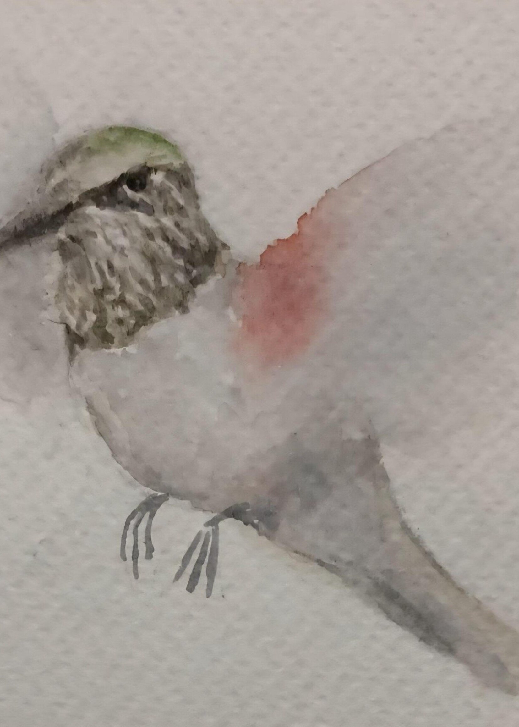 Watercolor Paint Night - Friday, April 17 @ 5:30-7:30 pm