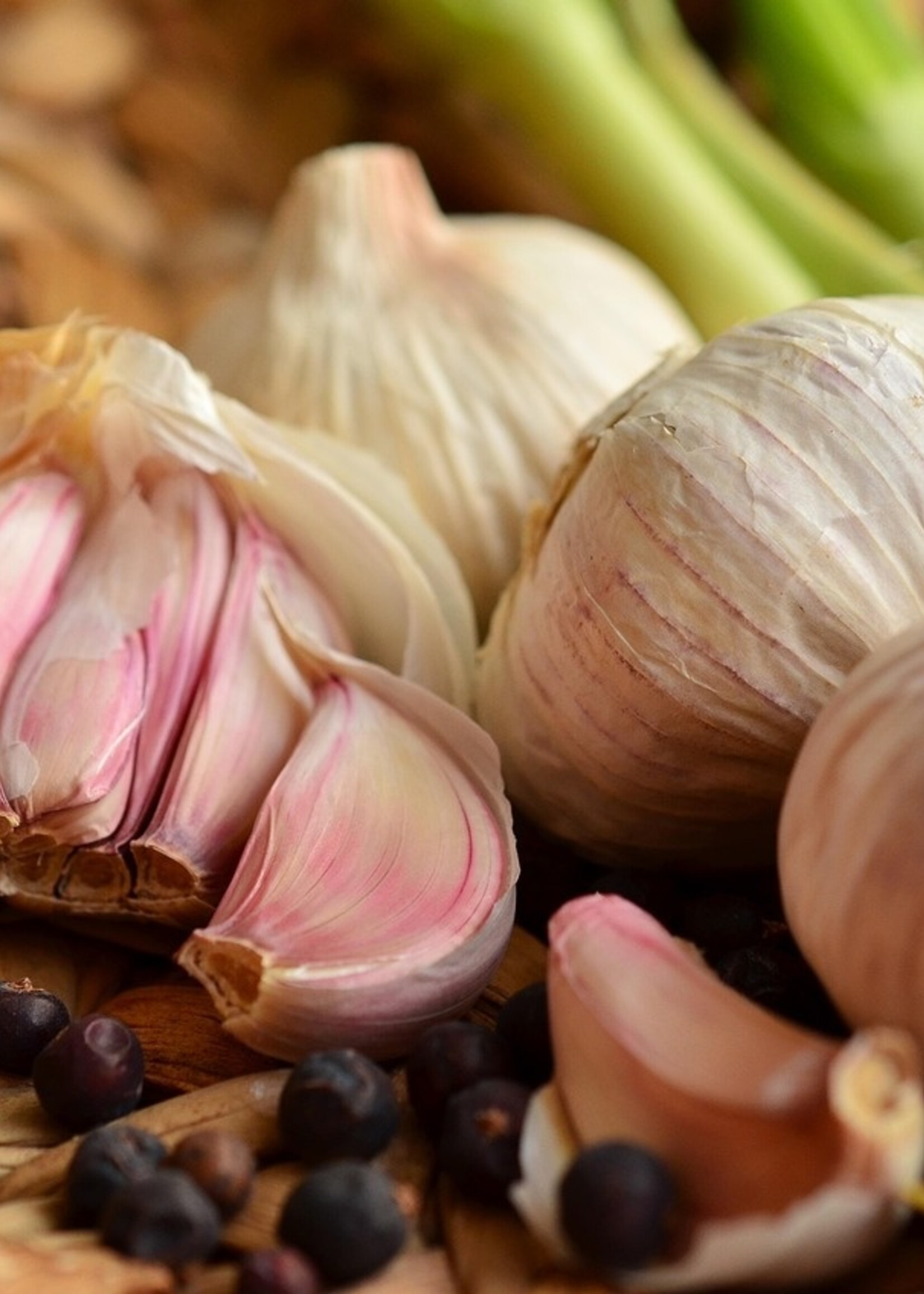 Russian Red Garlic - 100 Bulk Bulbs