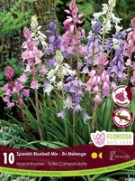 Florissa Campanula Mix Siberian Squill (Scilla) 10/pkg