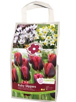 Florissa Ruby Slippers Pollinator Bulb Blend 28/pkg