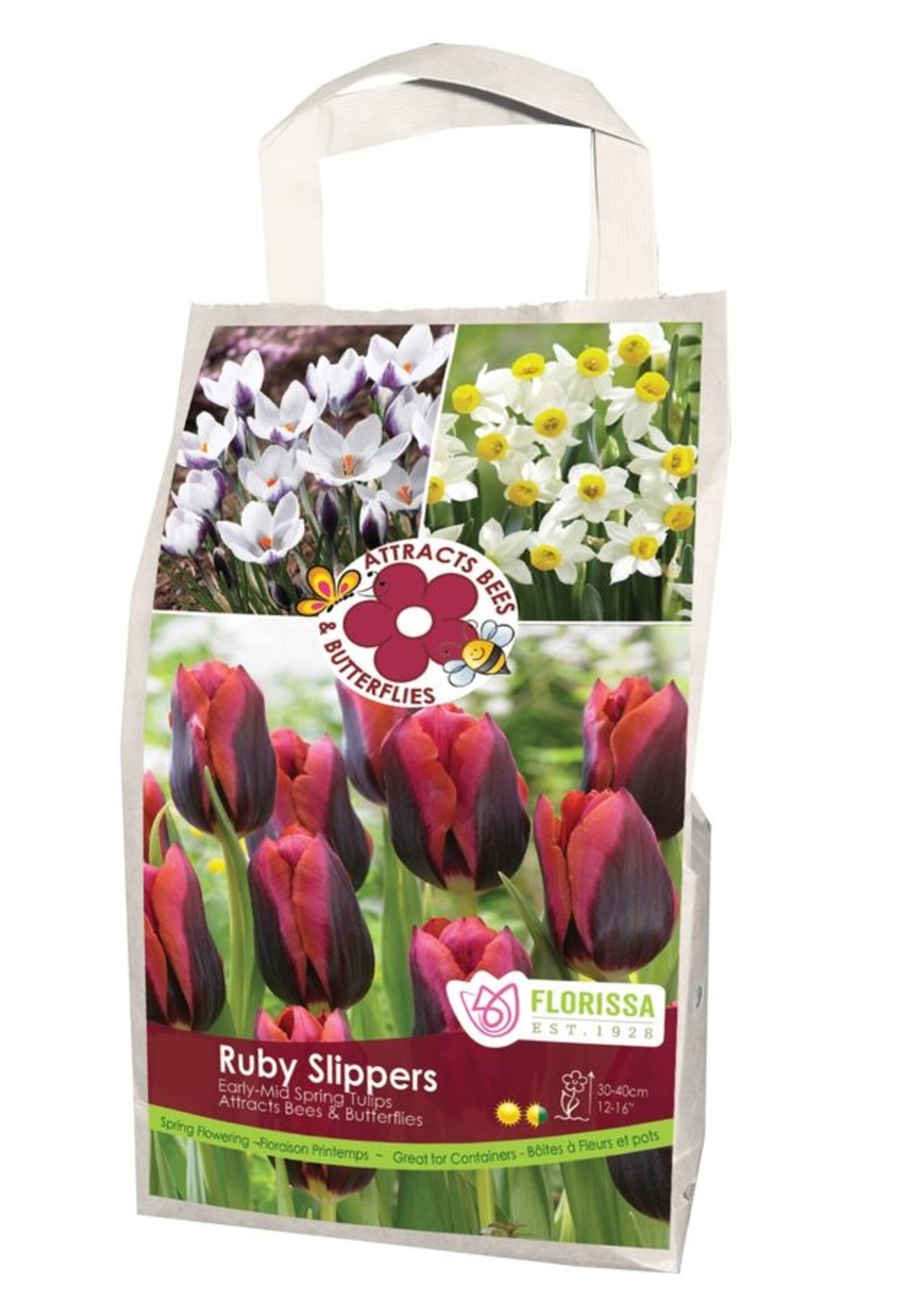 Florissa Ruby Slippers Pollinator Bulb Blend 28/pkg