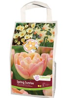 Florissa Spring Sunrise Pollinator Bulb Blend 24/pkg