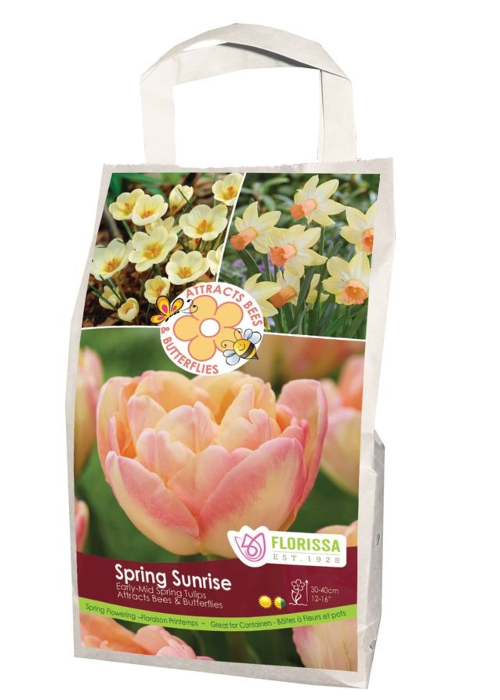 Florissa Spring Sunrise Pollinator Bulb Blend 24/pkg