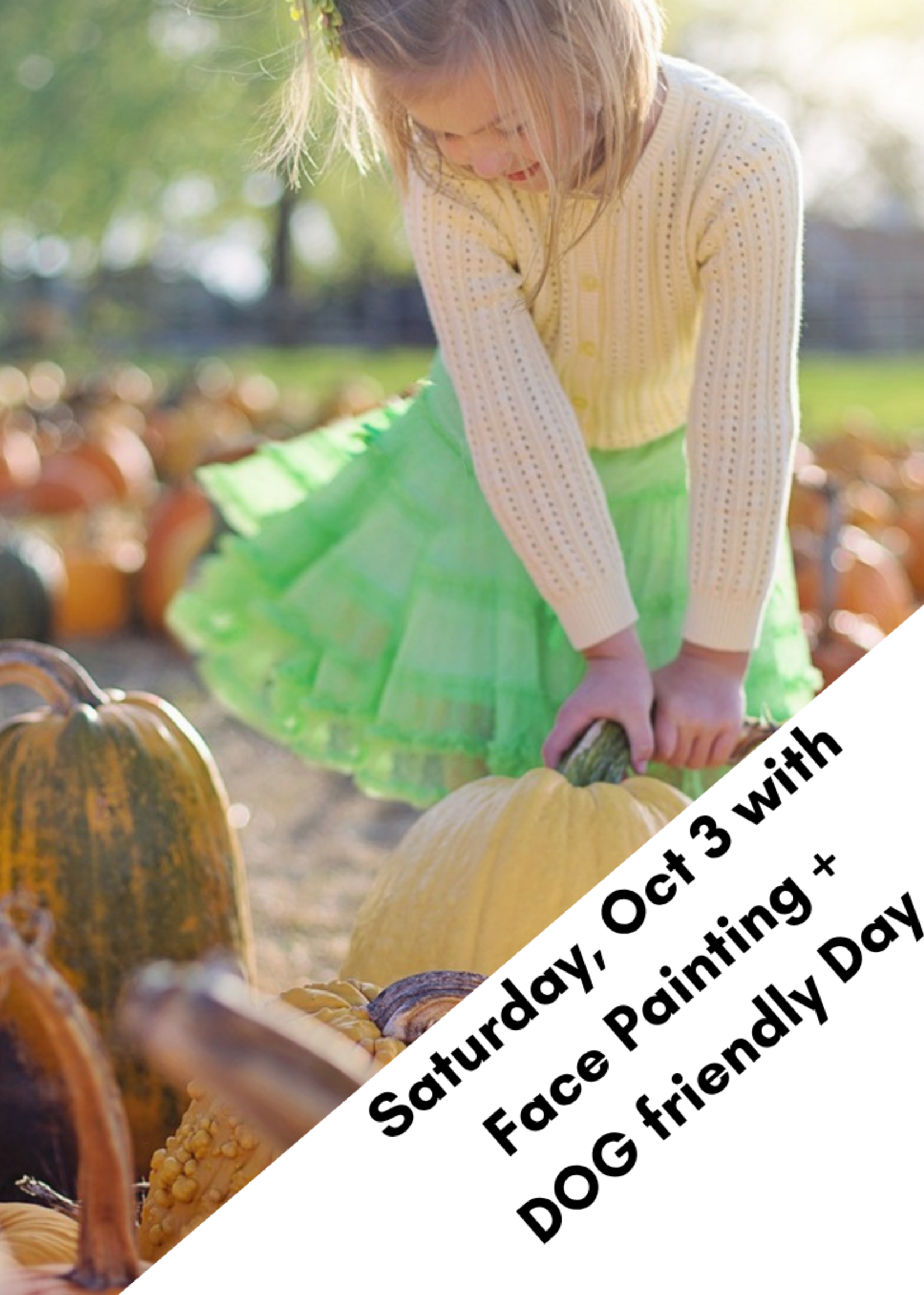 Sat, Oct 3 Pumpkin Patch with Face Painting