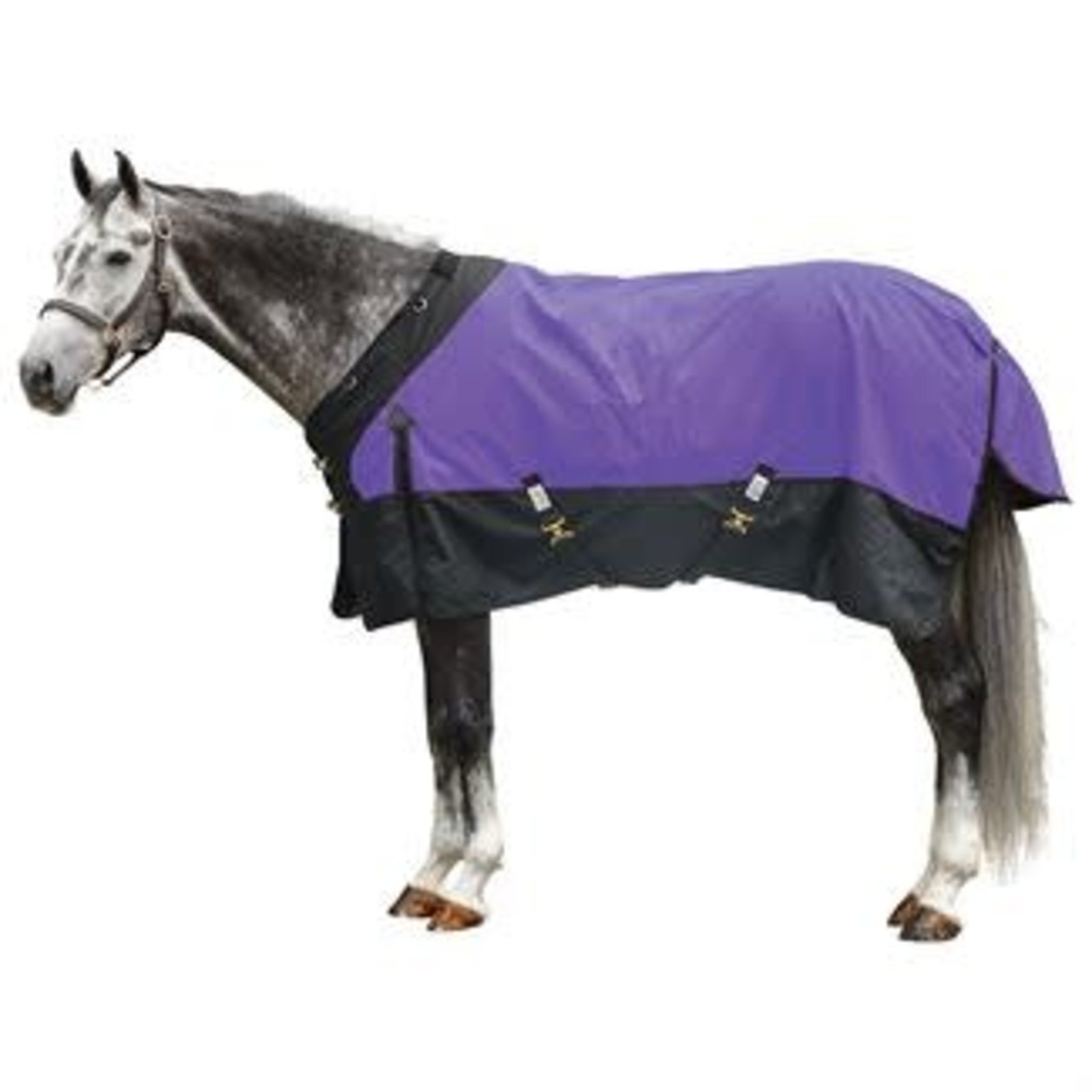 Schneider Tack StormShield Contour Collar Classic Turnout Blanket Med Weight (220 grams)