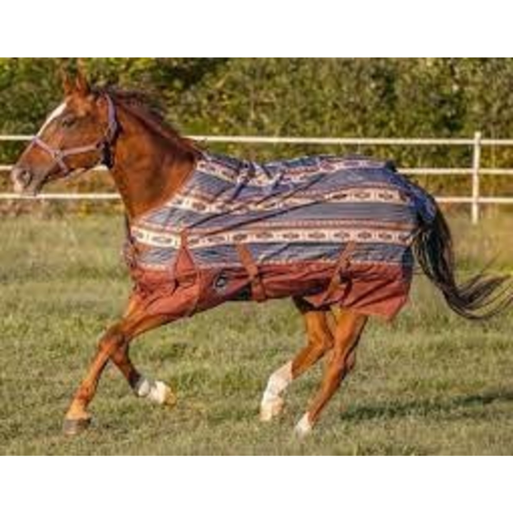 Pony Yearling 42"-46" 1200 Denier Waterproof Breathable Showman Turnout Blanket 