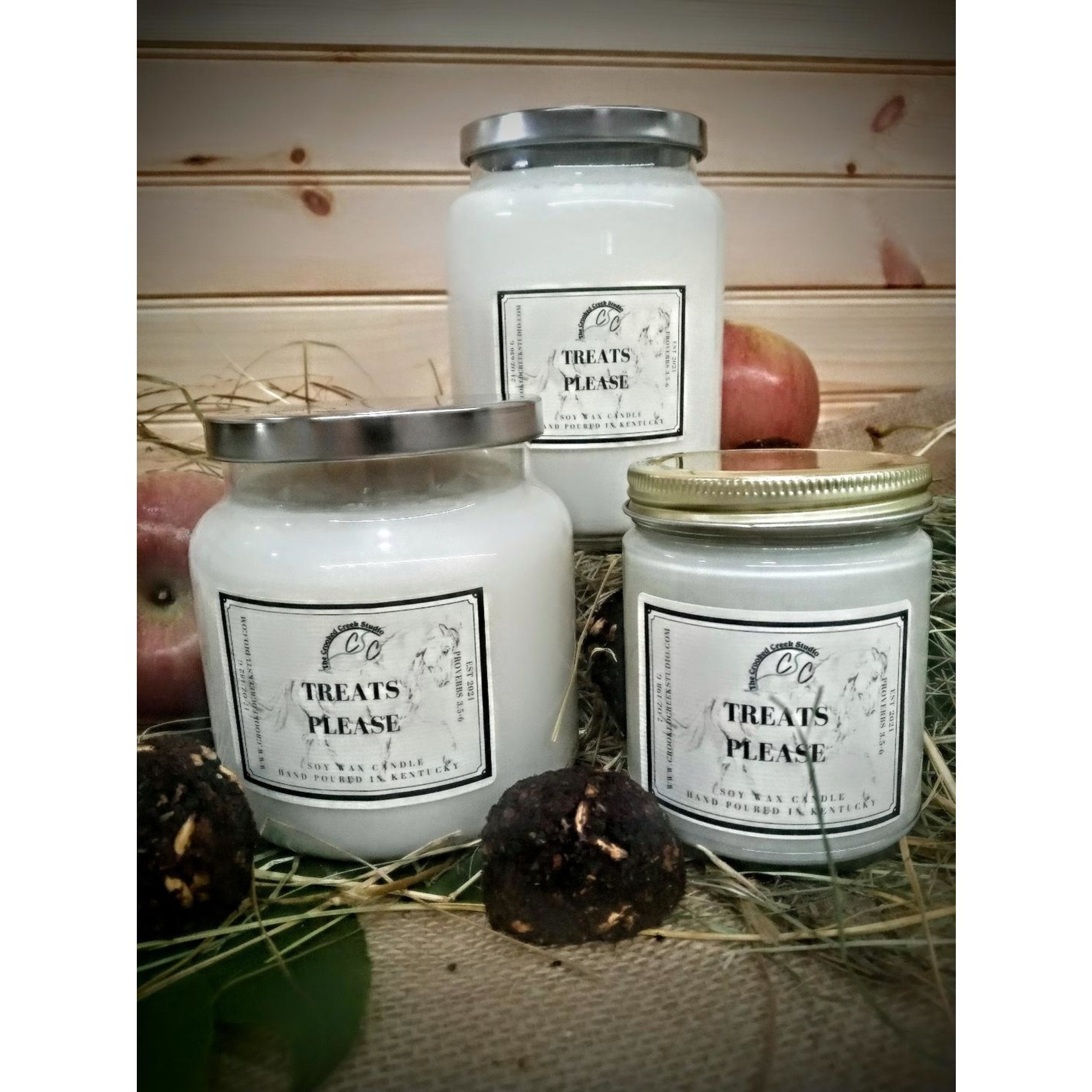 The Crooked Creek  Studio Treats Please-- Hand-Poured Soy Candle
