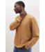 REC FLC SWEATSHIRT- mineral gold spice