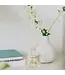 Santal Reed Diffuser