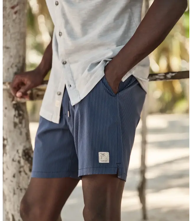 Lined Sport & Swim Short 6"- Navy/Blue Stripe
