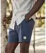 Lined Sport & Swim Short 6"- Navy/Blue Stripe