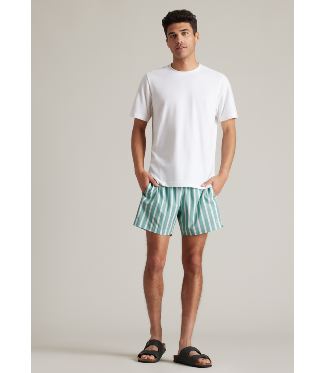 5.5" R&R Trunk- Tidal Green Wide Stripe