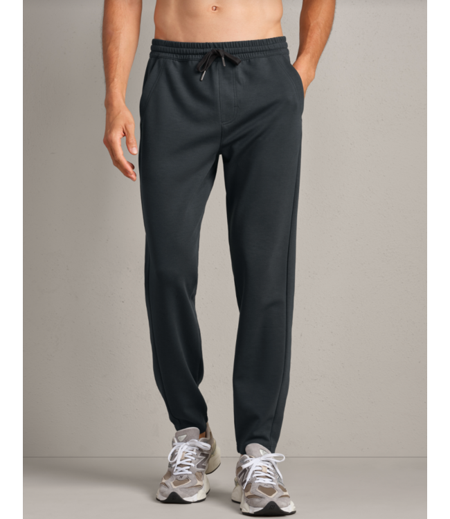 Dreamstate Jogger- Pine Gray