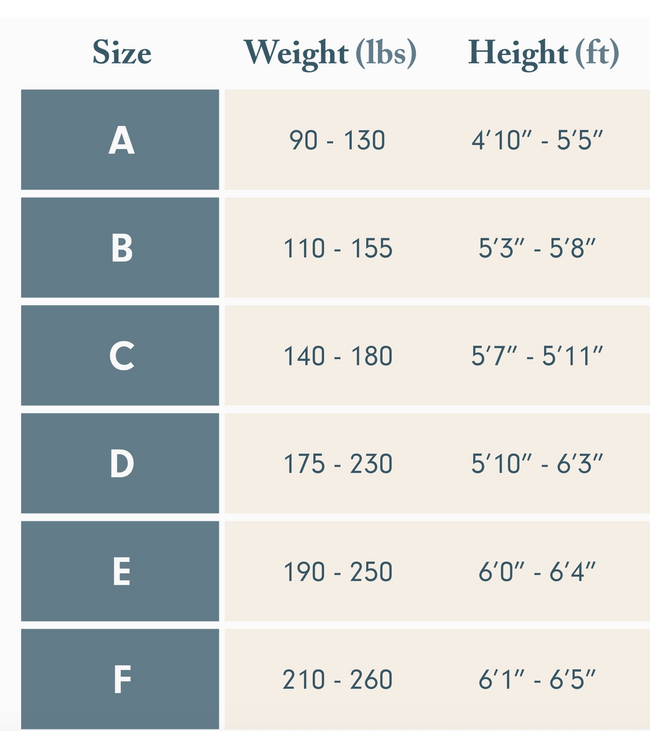 Sheer Contour Tights- Espresso