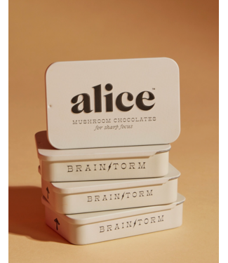 faire Brainstorm Mushroom Chocolate Supplement