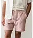 Saturday Beach Short 6"- Withered Rose Stripe