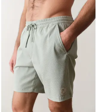 Marine Layer Lined Sport & Swim Short 6"- Green Matchstick Print