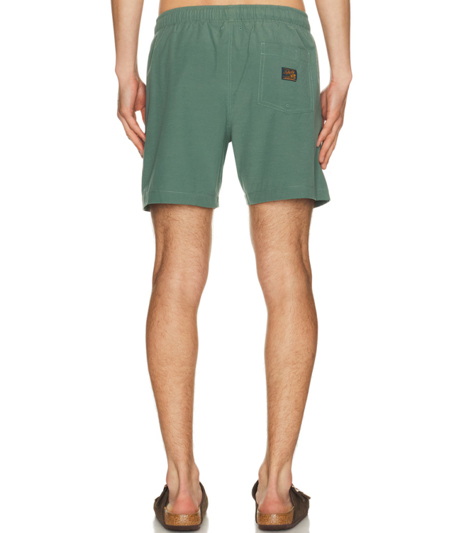 All Day Trunk (6")- Island Spruce