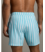 5.5" R&R Trunk- Belize Blue Wide Stripe