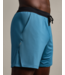 6" Endure Short Lined- Ash Blue