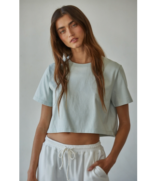 Cropped Round Neck Short Sleeve- Light Sage