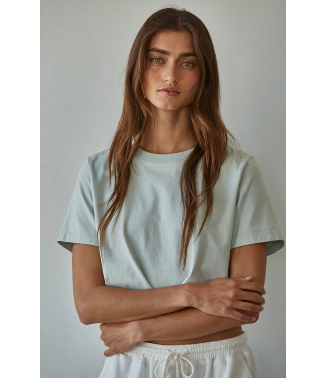 Cropped Round Neck Short Sleeve- Light Sage