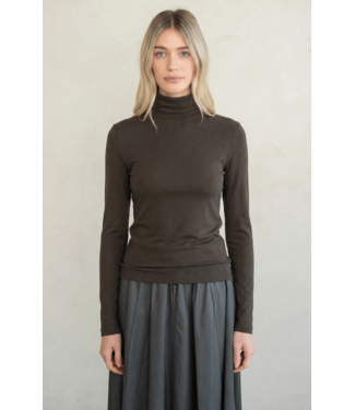 Slim Fit Turtle Neck Top- Brown Ash