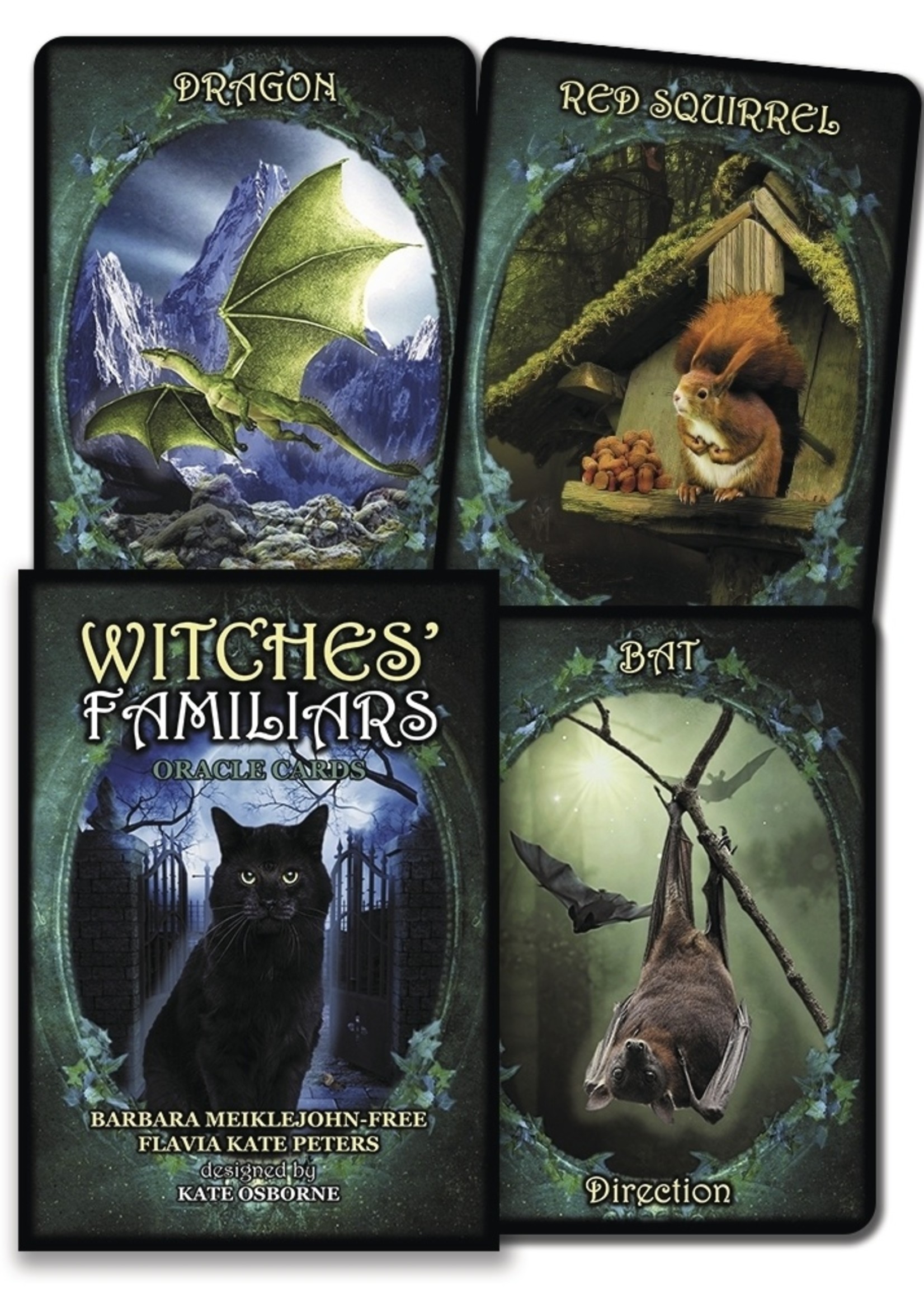 Witches Familiars Oracle Cards