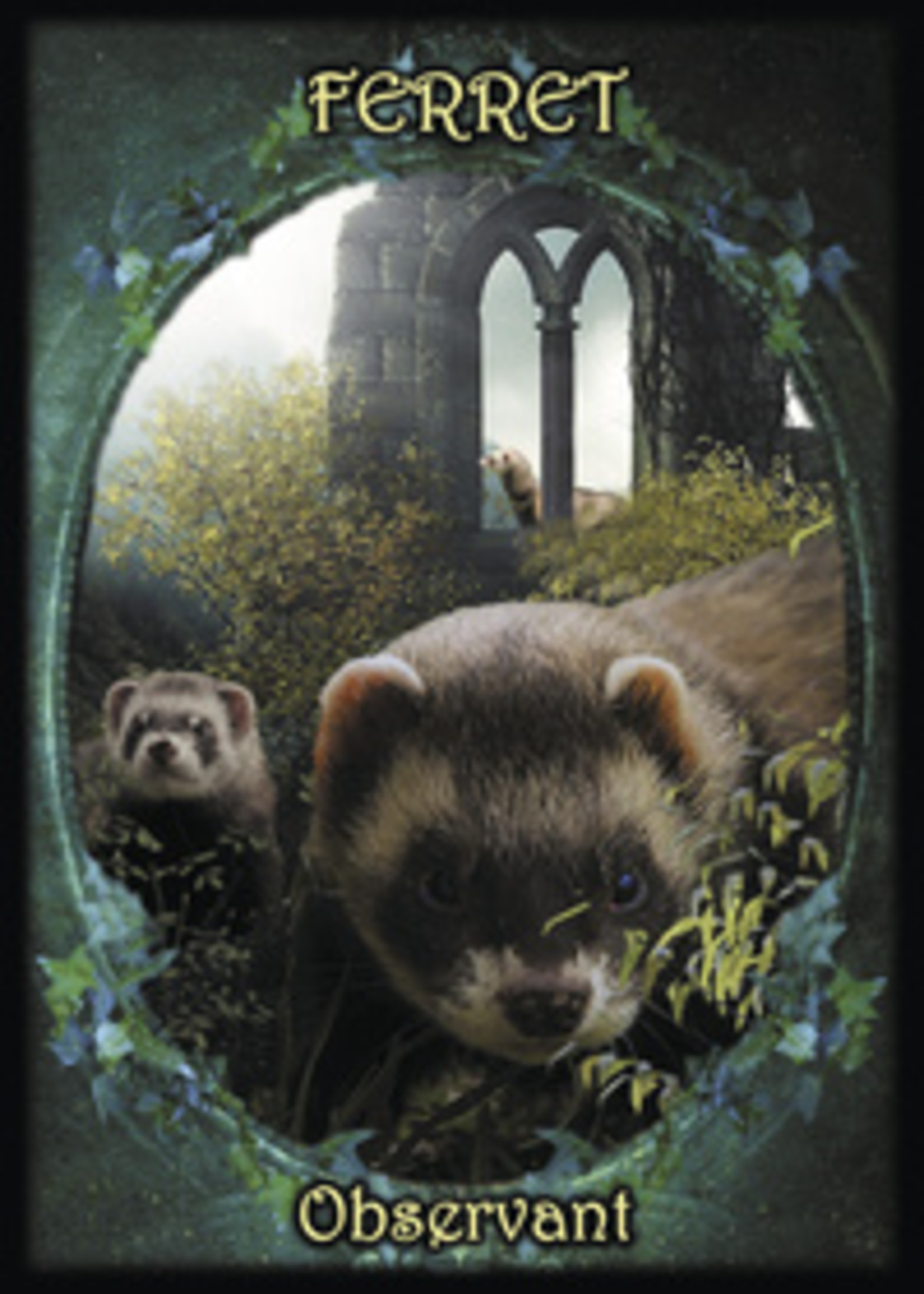 Witches Familiars Oracle Cards